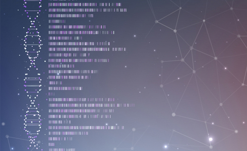 Imagen relativa a la noticia indicada