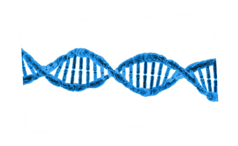 Imagen relativa a la noticia indicada