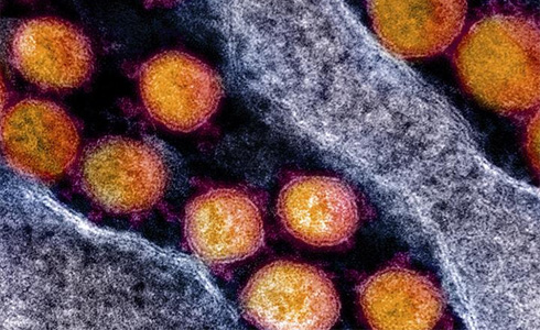 Imagen relativa a la noticia indicada