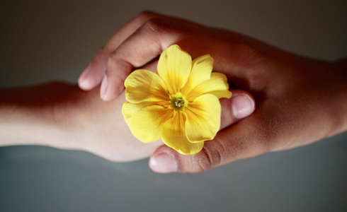 Imagen relativa a la noticia indicada