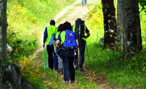 Imagen relativa a la noticia indicada