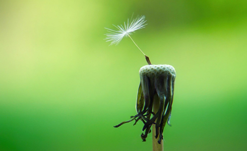 Imagen relativa a la noticia indicada