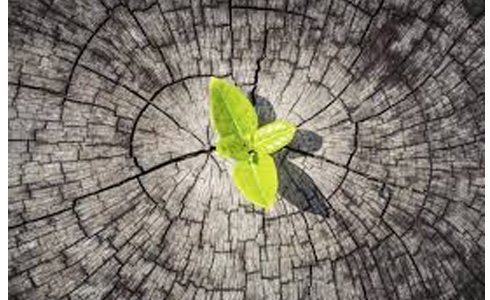 Imagen relativa a la noticia indicada