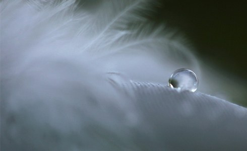 Imagen relativa a la noticia indicada