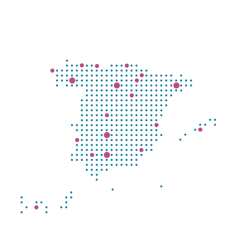 Icono ante la ausencia de diagnóstico