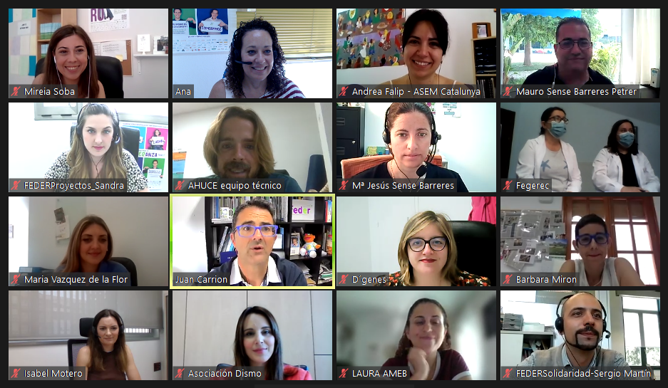 Captura de pantalla durante la reunión.