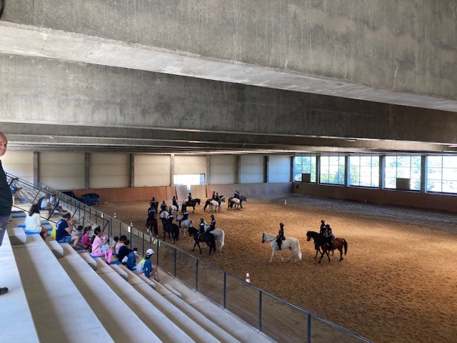 Los menores participantes de la actividad del proyecto AcogER disfrutando de la exhibición ecuestre