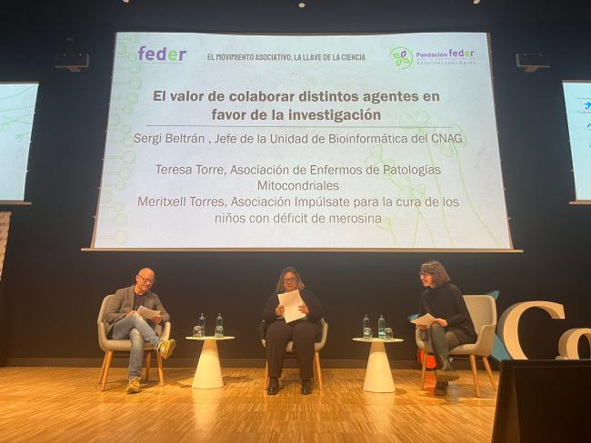 Tercera mesa redonda