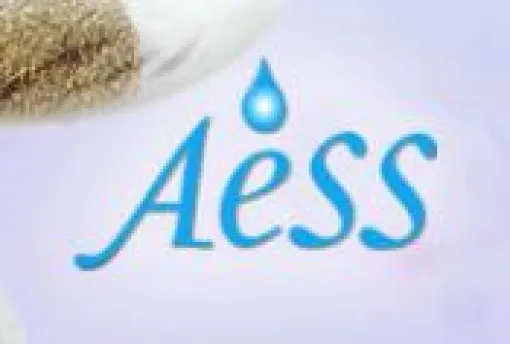 Logotipo de Aess