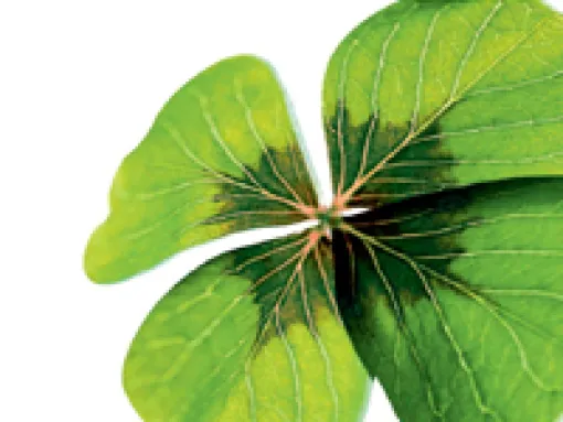 Imagen portada del libro