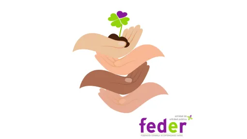 IMAGEN DE LA JORNADA