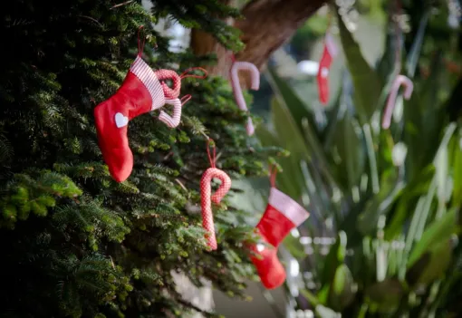 Imagen relativa a la noticia indicada