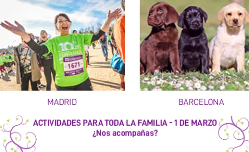 Imagen relativa a la noticia indicada