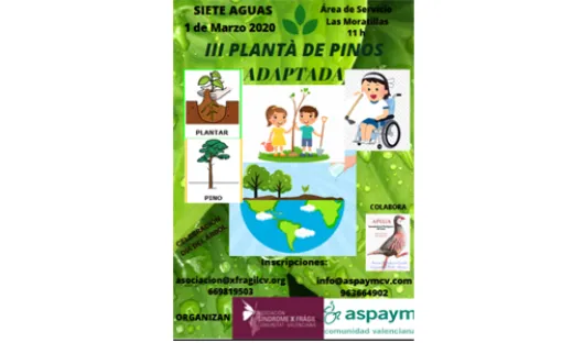 Imagen relativa a la noticia indicada