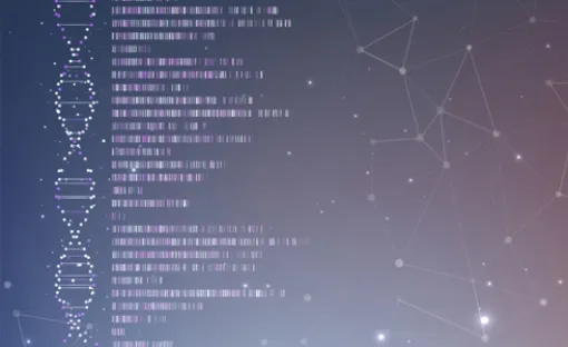 Imagen relativa a la noticia indicada