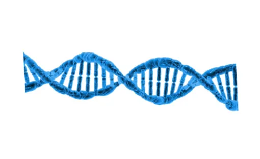 Imagen relativa a la noticia indicada