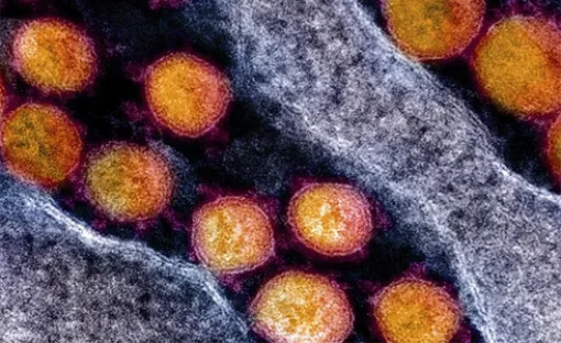 Imagen relativa a la noticia indicada