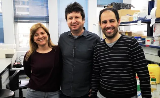 Imagen relativa a la noticia indicada