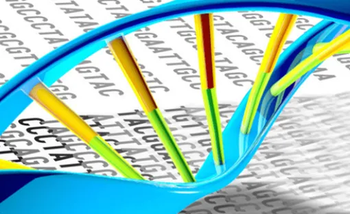 Imagen relativa a la noticia indicada