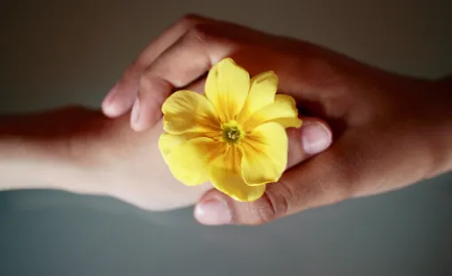 Imagen relativa a la noticia indicada