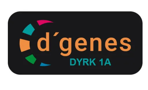 Imagen relativa a la noticia indicada