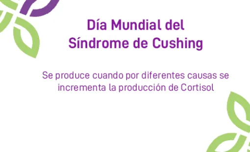 Imagen relativa a la noticia indicada