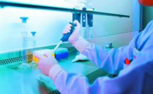 Imagen relativa a la noticia indicada