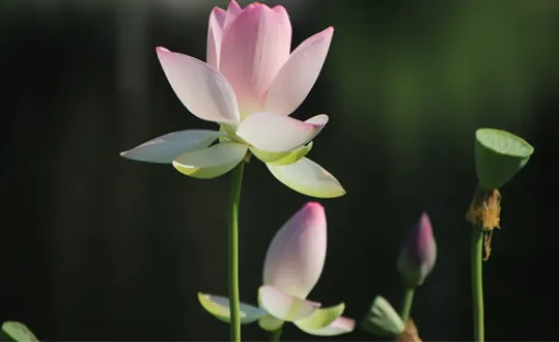 Imagen relativa a la noticia indicada