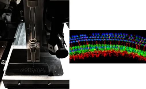 Imagen relativa a la noticia indicada