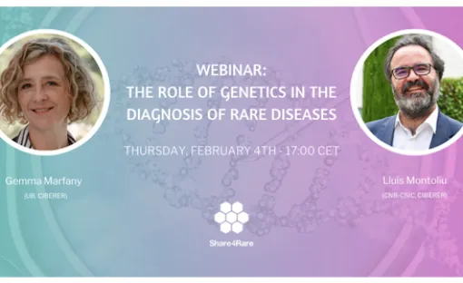 Imagen relativa a la noticia indicada