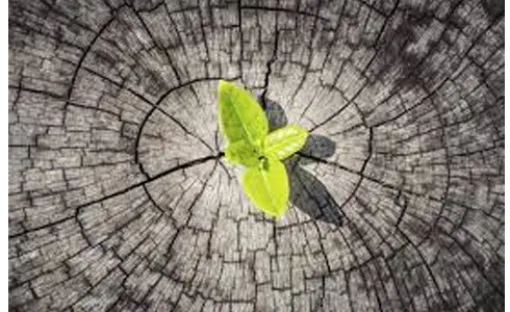 Imagen relativa a la noticia indicada