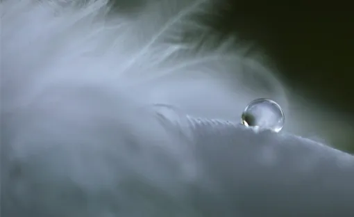 Imagen relativa a la noticia indicada