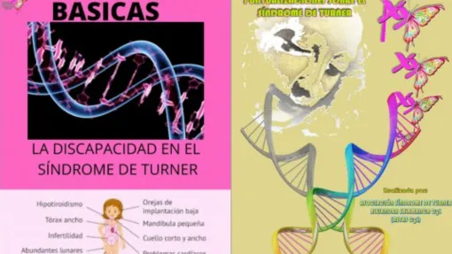 Portada de los documentos Cuaderno de notas y nociones básicas