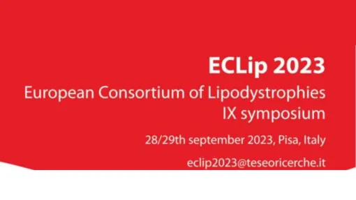 Cartel del eclip 2023