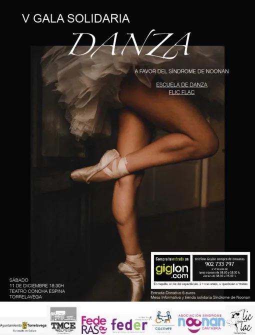 Imagen del cartel de la V Gala Solidaria