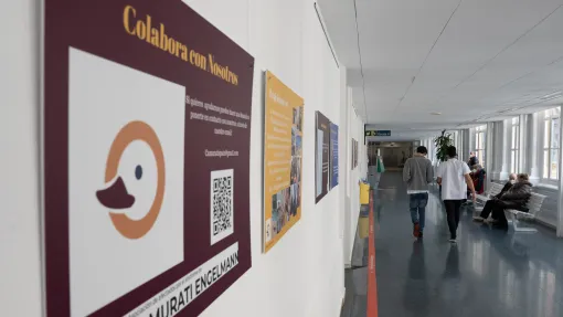 Fotografía de la exposición