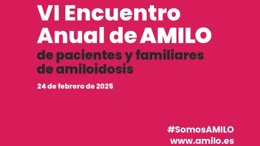 VI Encuentro Amilo