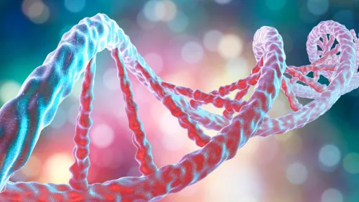 Imagen de recurso: ADN