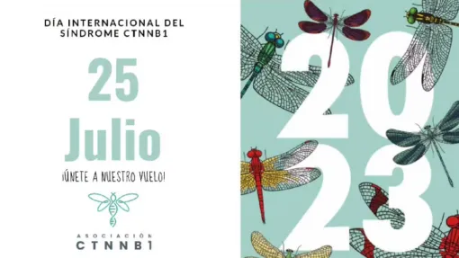 Cartel: misma información que en el cuerpo de la noticia.