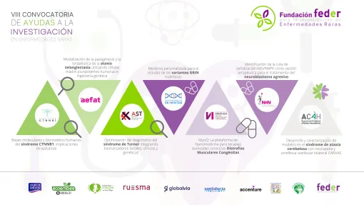 Infografía con los beneficiarios de la VIII Convocatoria.
