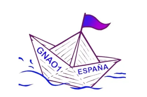Convocatoria de ayudas a la Investigación de la asociación GNAO1