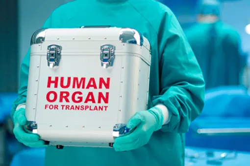 Imagen nevera de organos