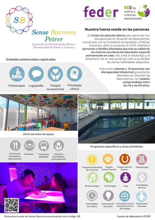 Póster de Sense Barreres.