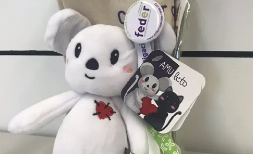 Imagen de uno de los Amuletos junto a material corporativo de FEDER